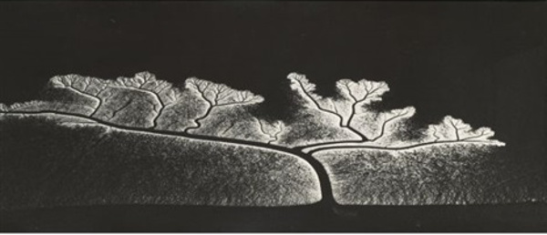 Reflection of the sun on dendritic flow, San Francisco Bay, California, 1963 by William Garnett.