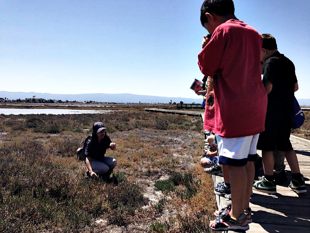 Brower Youth Award Winner Lynnea Shuck, kneeling, points out pickleweed to aspiring Junior Refuge Rangers in a marsh on the Don Edwards San Francisco Bay National Wildlife Refuge.