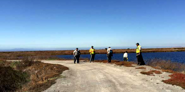 San Jose Conservation Corps cleaning up various ponds and levees in the south San Francisco Bay. Credit Olivia Andrus.