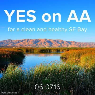 A poster for the Yes on AA campaign by Save the Bay. Photo courtesy Britta Heise via Twitter.