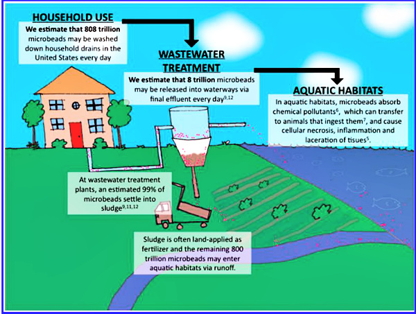 Schematic diagram showing the route that microbeads take from our homes to the aquatic environment. Diagram courtesy American Chemical Society Environ. Sci. Technol. 2015, 49, 10759−10761