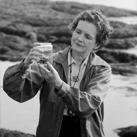 Rachel Carson, marine biologist and writer.